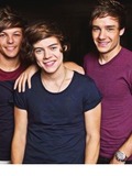 Zayn, Louis, Harry, & Liam