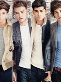 Louis Tomlinson - Liam Payne - Zayn Malik - Harry Styles.