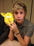 Niall horan