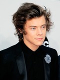 Harold Edward Styles (01.02.1994)
