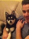 Liam Payne and Loki