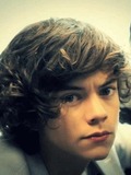 Harry Styles (Haz, Hazza, Styles)