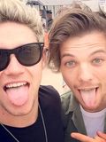 Niall Horan and Louis Tomlinson.