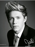 Niall Horan