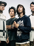 PTV (Gang) 29,29,26,26 (Jaime,Tony,Vic,Mike)