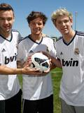 Liam Louis and Niall