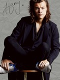 Harry Styles