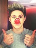 niall horan
