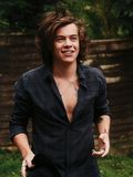 02) Harry Styles