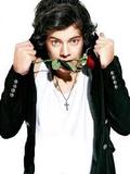 Harry styles