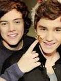 liam and harry