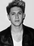 2. Niall Horan