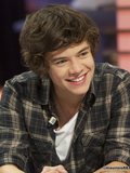 harry styles