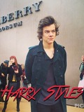 Harry Styles