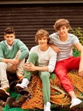 Louis Tomlinson Zayn Maliki and Liam Payne