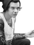 Harry Styles (23)