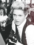 8. Niall Horan