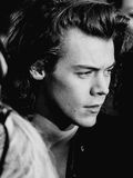 1.Harry Styles