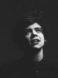 Harry Styles