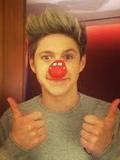 9. Niall Horan