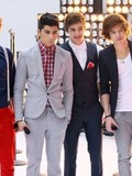 Louis Tomlinson, Zayn Malik, Liam Payne, Harry Styes