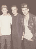 Niall Horan, Liam Payne & Zayn Malik