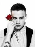 Liam Payne, 20