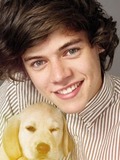 Harry Styles