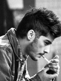 Zayn Malik - as himself