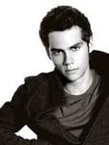 Stiles