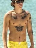 harry styles