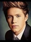 1/5 of One Direction-Niall Horan