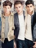 Niall, Liam, Zayn, Lou