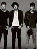 One Direction (dark, not famous)