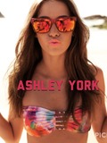 Ashley York
