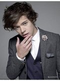 Mr. Styles