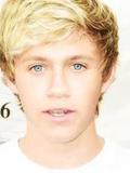 niall horan.