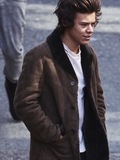 Harry Styles
