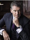 Pierce Brosnan as William Styles