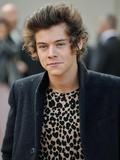 Harold Edward Styles