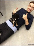 ✿ Liam Payne ✿