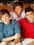 3/5 of One Direction-Liam,Zayn,& Louis