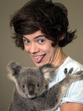 Harry Styles