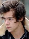 2. Harry Styles