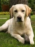 Lucy Harty 3