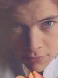 Harry Styles