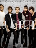 One Direction (Harry Styles, Zayn Malik, Niall Horan and Liam Payne)