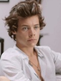 Harry styles
