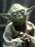 Yoda