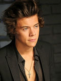 Harry Styles